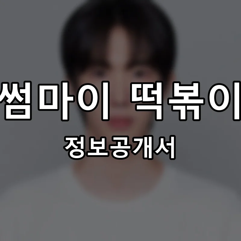 썸마이 떡볶이 프랜차이즈 창업 비용 정보공개서 요약