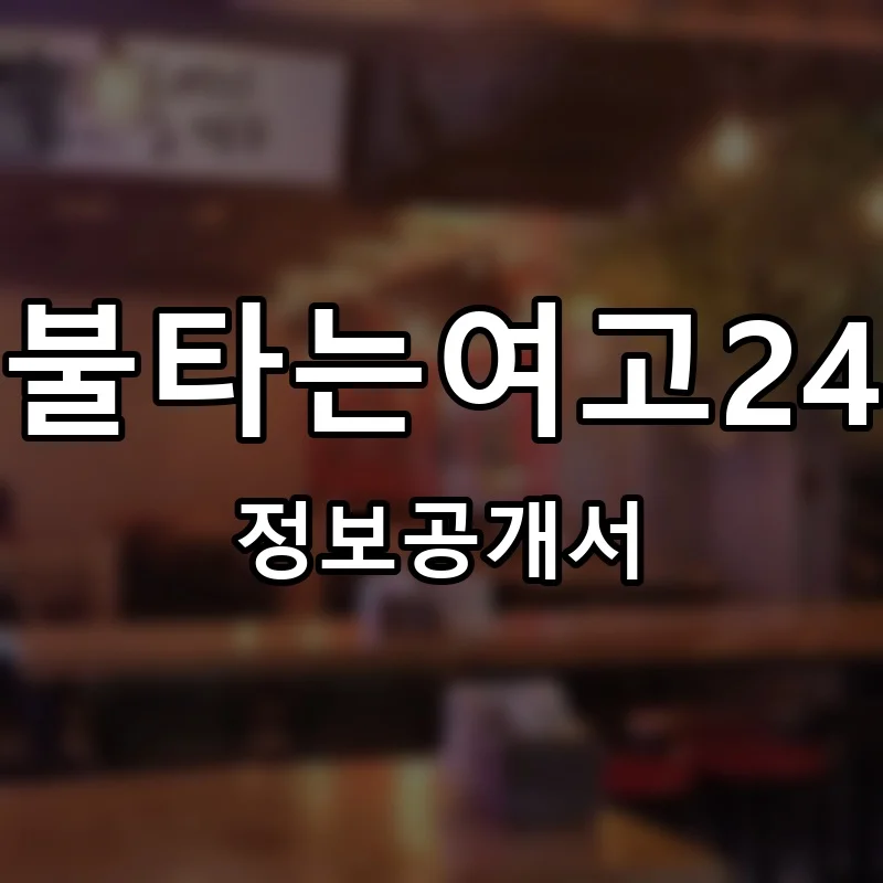 정아니의불타는여고24시떡볶이 프랜차이즈 창업 비용 정보공개서 요약
