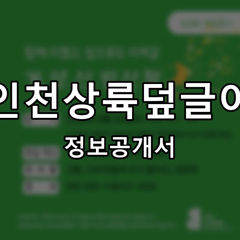 인천상륙덮글이 프랜차이즈 창업 비용 정보공개서 요약