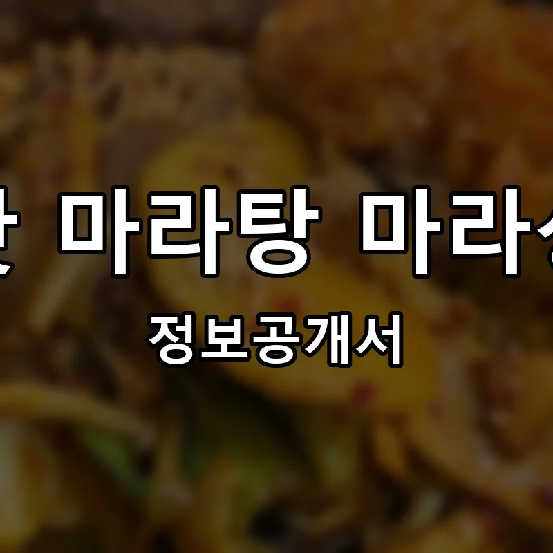 쏘핫 마라탕 마라샹궈 프랜차이즈 창업 비용 정보공개서 요약