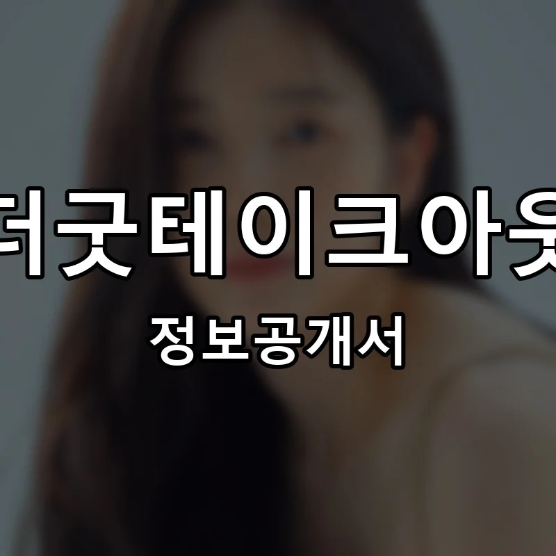 더굿테이크아웃 프랜차이즈 창업 비용 정보공개서 요약