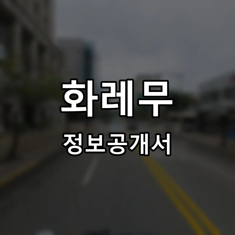 화레무 프랜차이즈 정보공개서