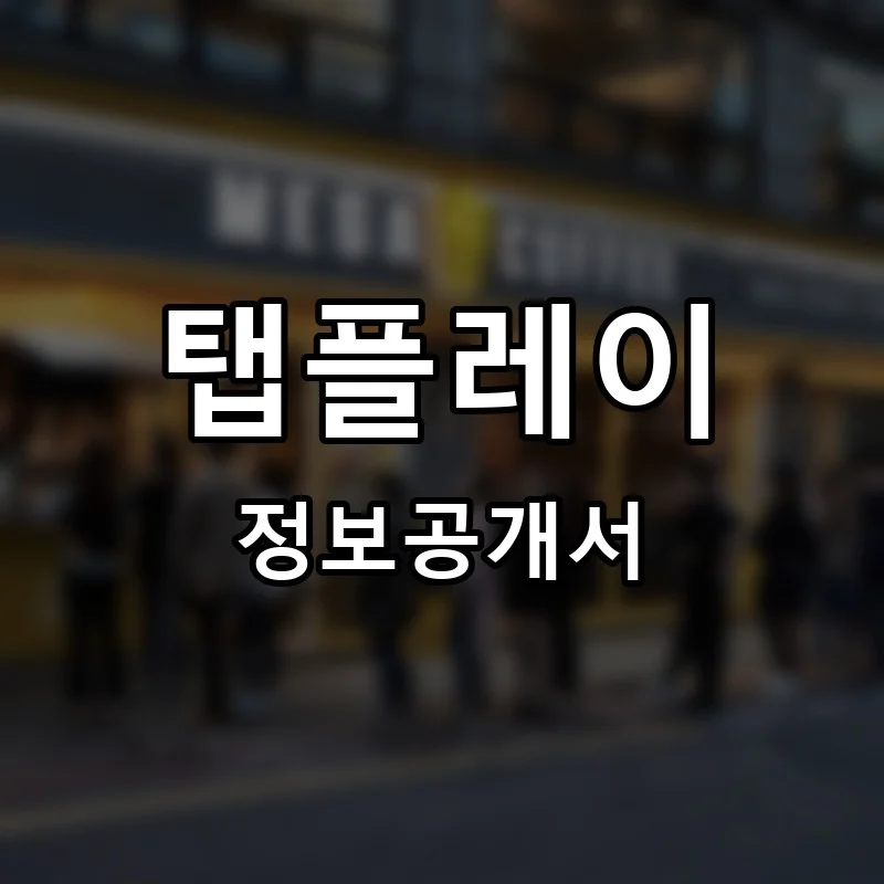 탭플레이(TAPLAY) 프랜차이즈 정보공개서