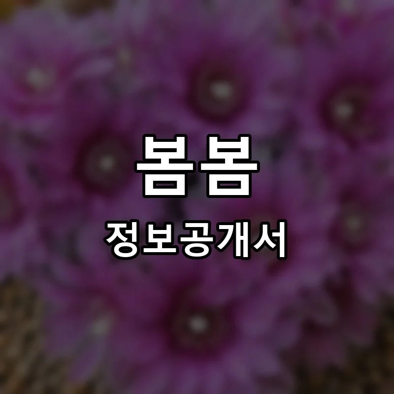 봄봄 프랜차이즈 정보공개서