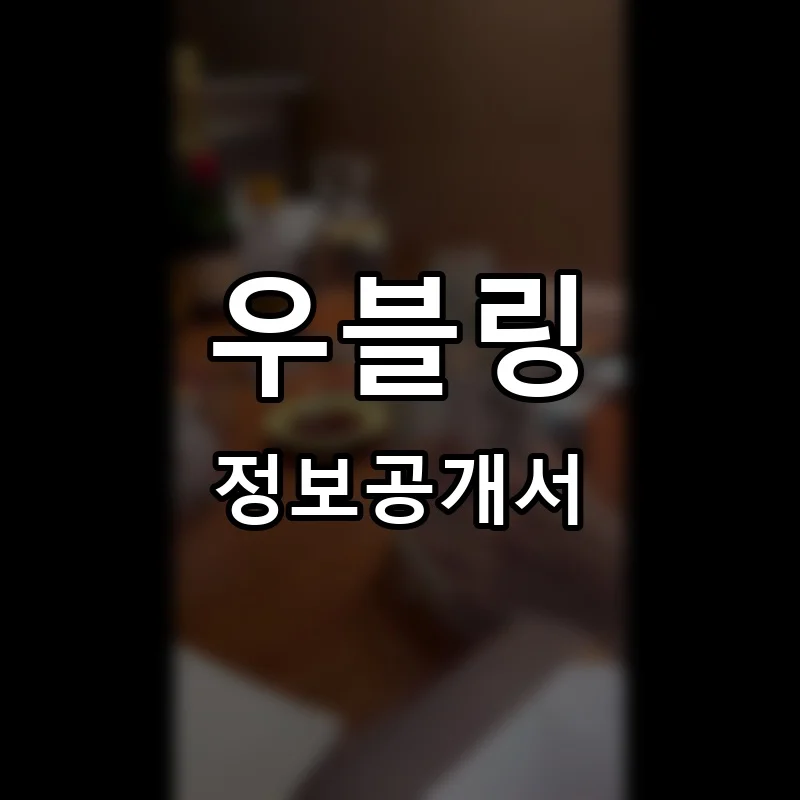 우블링 프랜차이즈 창업 비용 정보공개서 요약