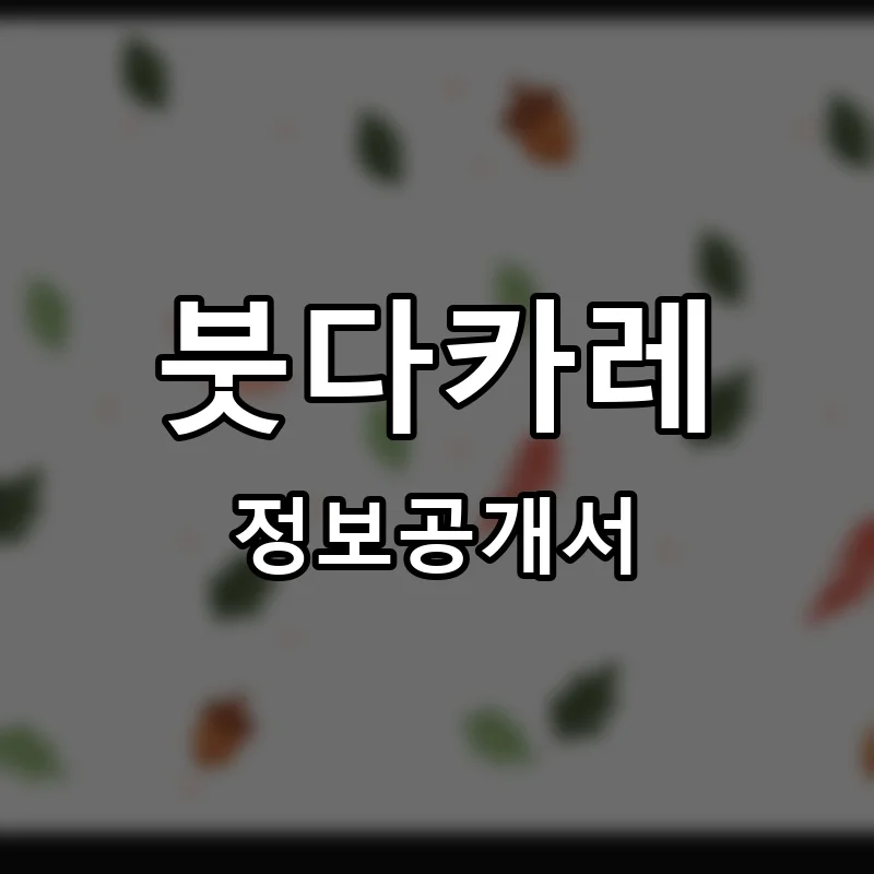 붓다카레 프랜차이즈 창업 비용 정보공개서 요약