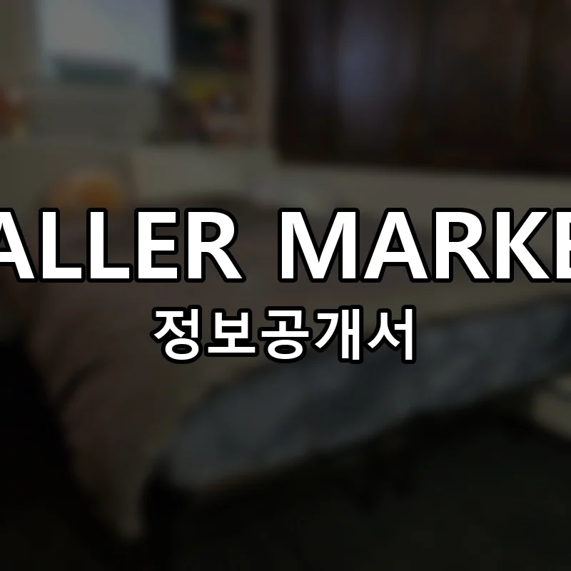 샐러마켓 창업 SALLER MARKET 프랜차이즈 정보공개서 요약 2024.08.14
