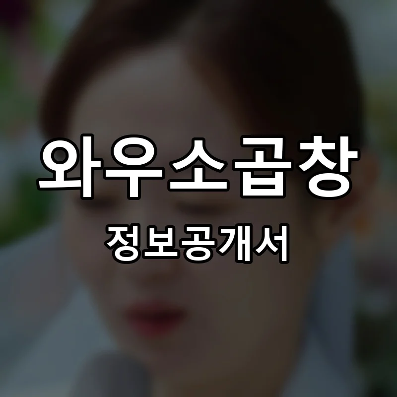 와우소곱창 프랜차이즈 창업 비용 정보공개서 요약