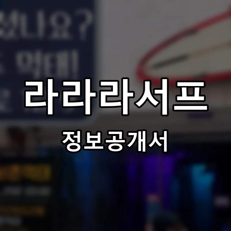 라라라서프 프랜차이즈 창업 비용 정보공개서 요약