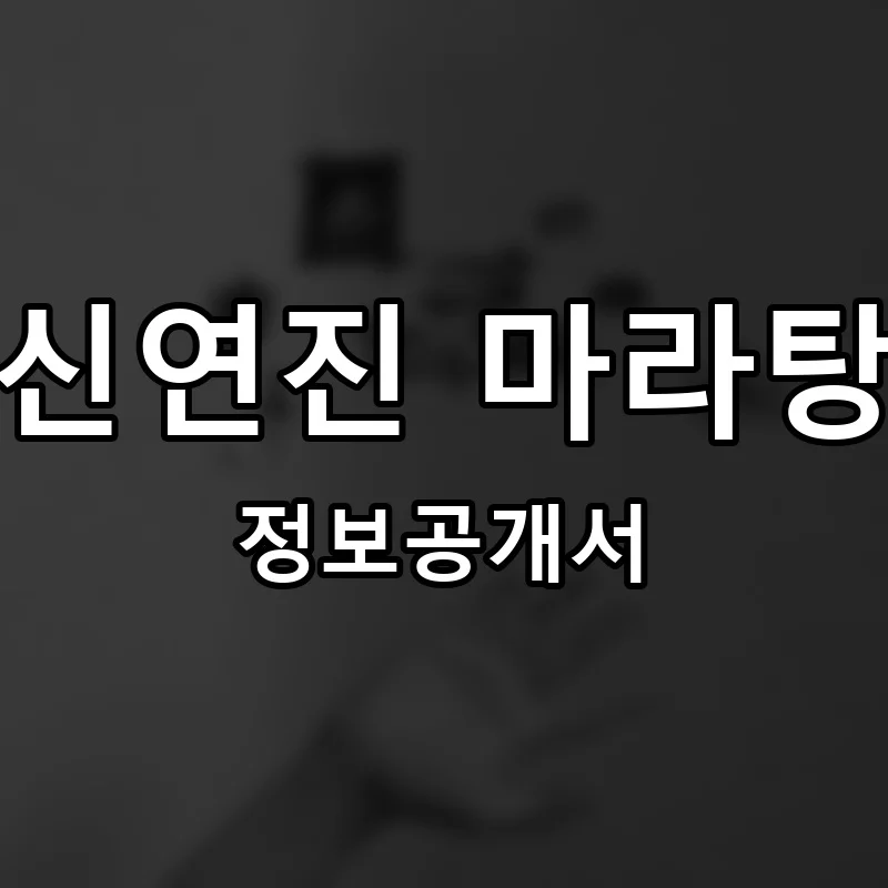 신연진 마라탕 프랜차이즈 창업 비용 정보공개서 요약