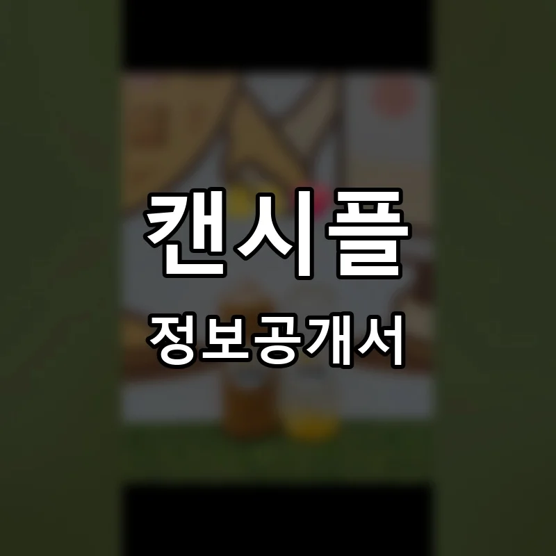 캔시플 프랜차이즈 정보공개서