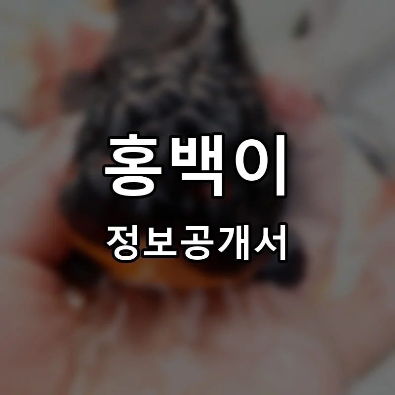 홍백이 프랜차이즈 정보공개서