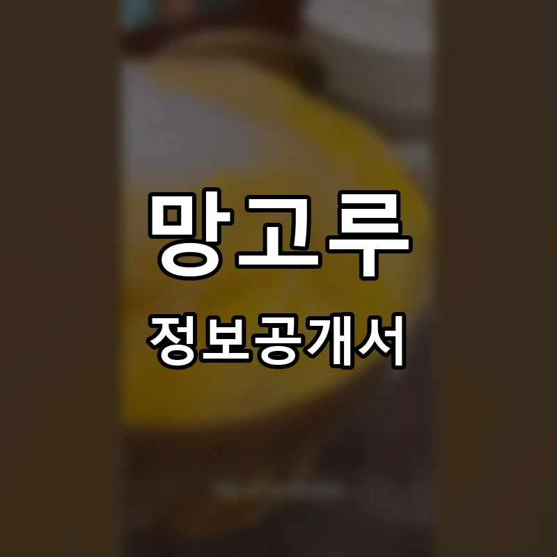 망고루 프랜차이즈 정보공개서