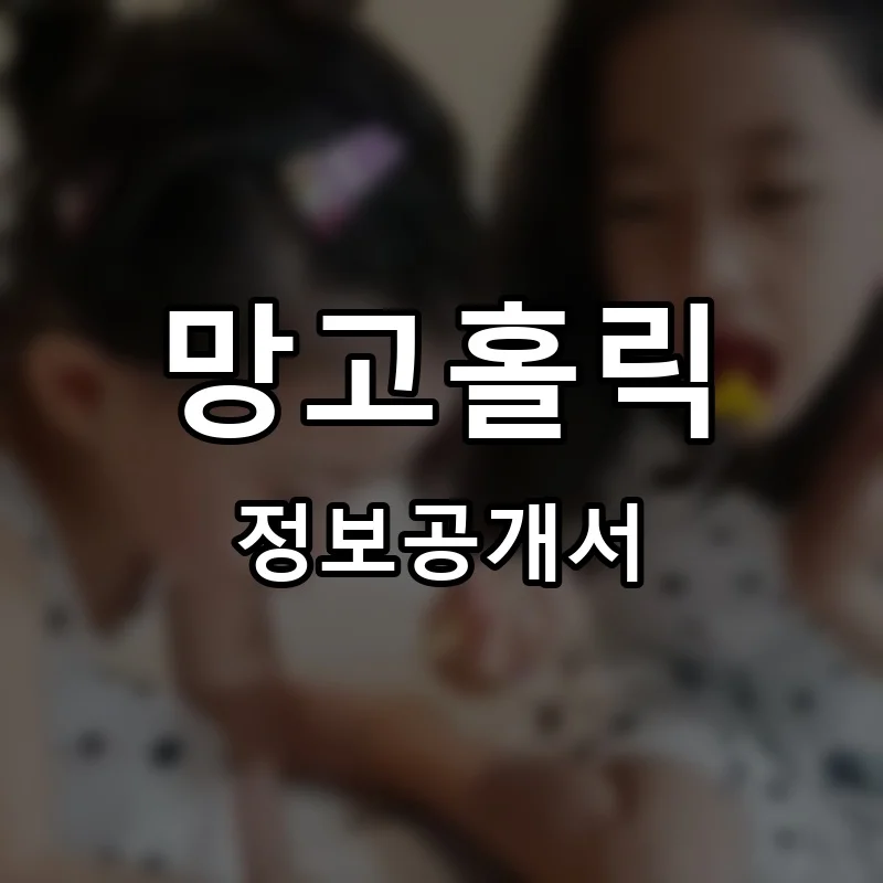 망고홀릭 프랜차이즈 창업 비용 정보공개서 요약