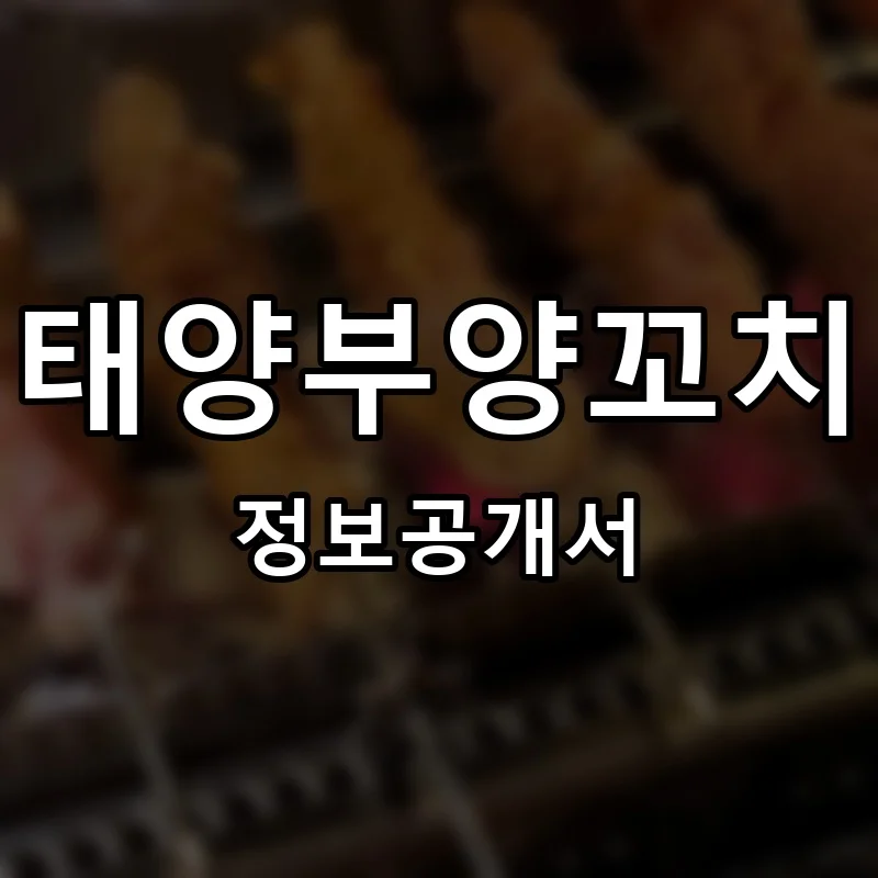 태양부양꼬치 프랜차이즈 정보공개서