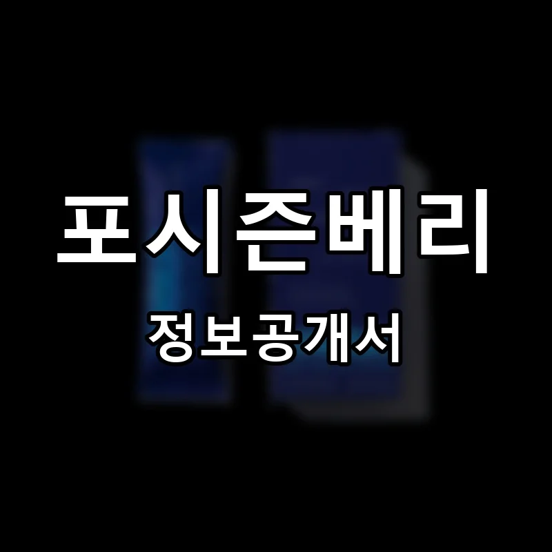 포시즌베리 프랜차이즈 정보공개서