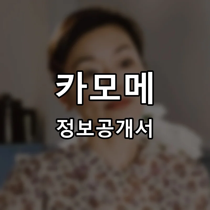 카모메 프랜차이즈 정보공개서