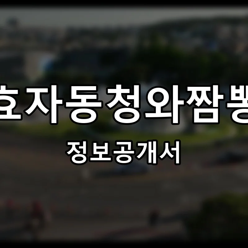 효자동청와짬뽕 프랜차이즈 창업 비용 정보공개서 요약