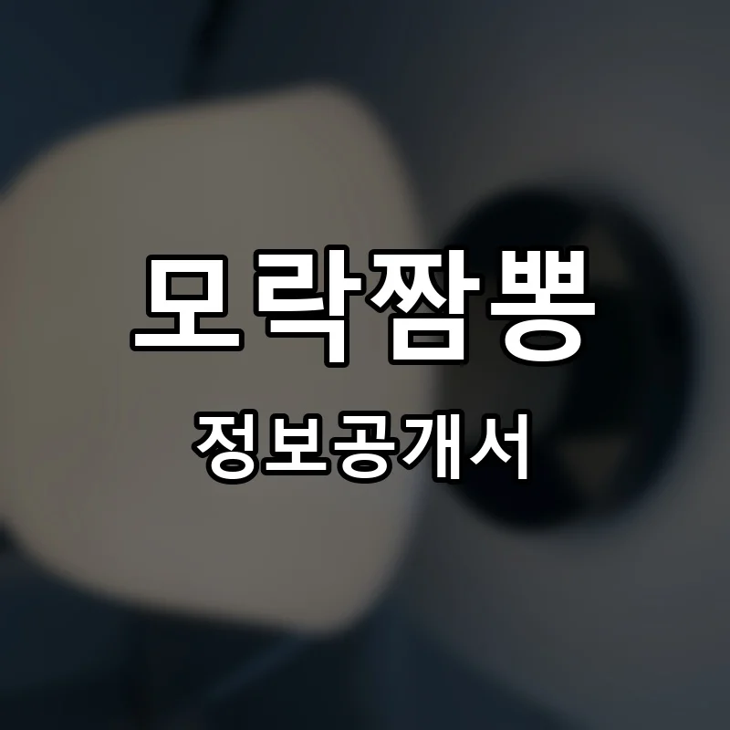모락짬뽕 프랜차이즈 정보공개서
