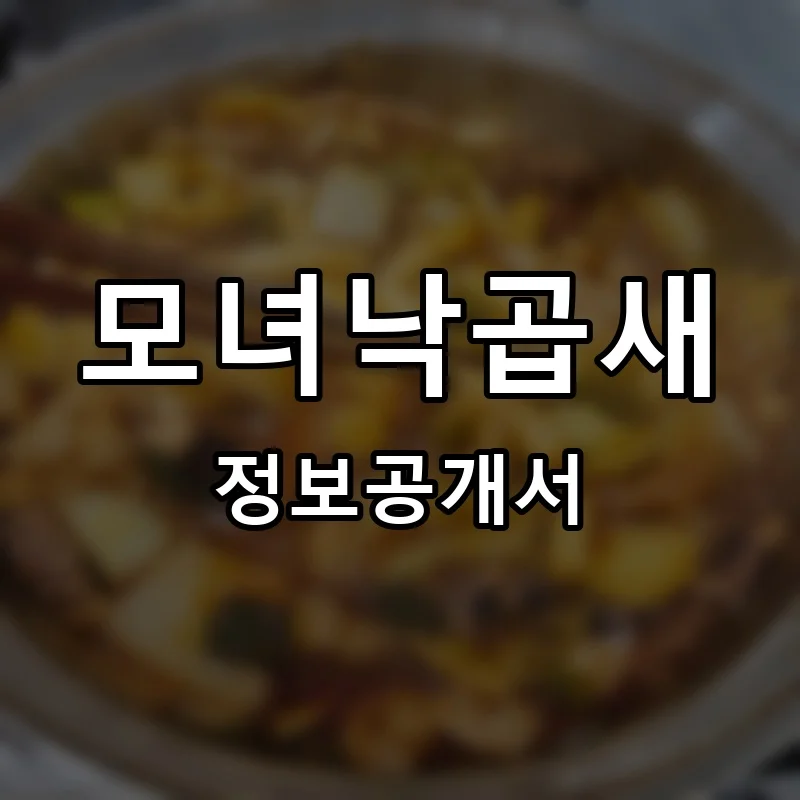 모녀낙곱새 프랜차이즈 창업 비용 정보공개서 요약