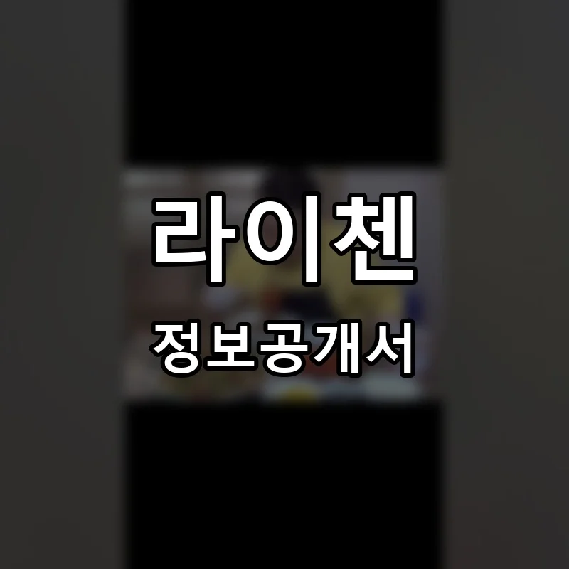 라이첸 프랜차이즈 창업 비용 정보공개서 요약