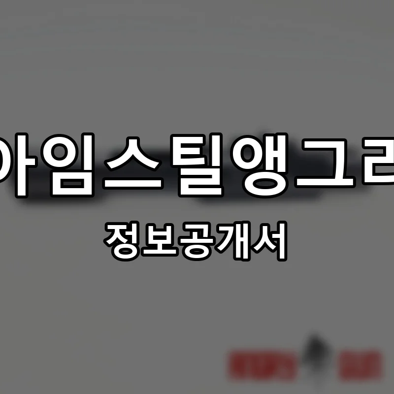 아임스틸앵그리(I’m Still Angry) 프랜차이즈 정보공개서 요약