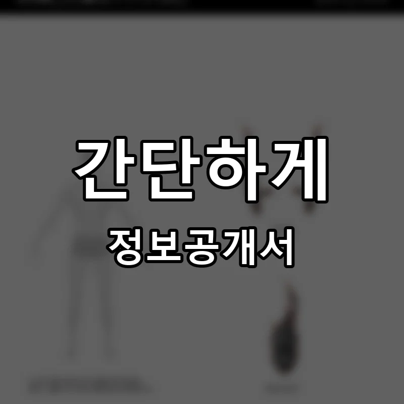 간단하게 프랜차이즈 창업 비용 정보공개서 요약