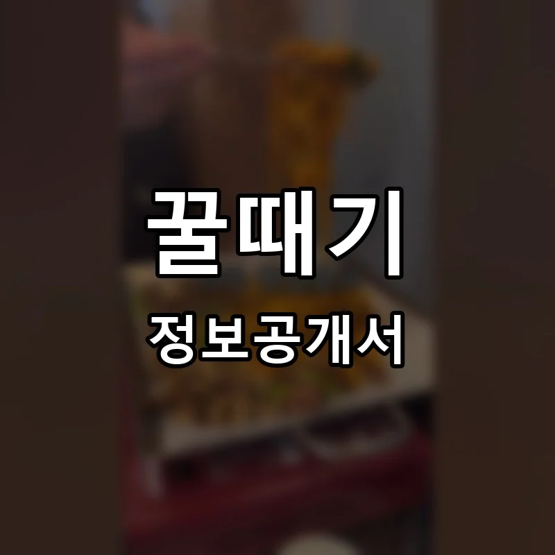 꿀때기 프랜차이즈 창업 비용 정보공개서 요약