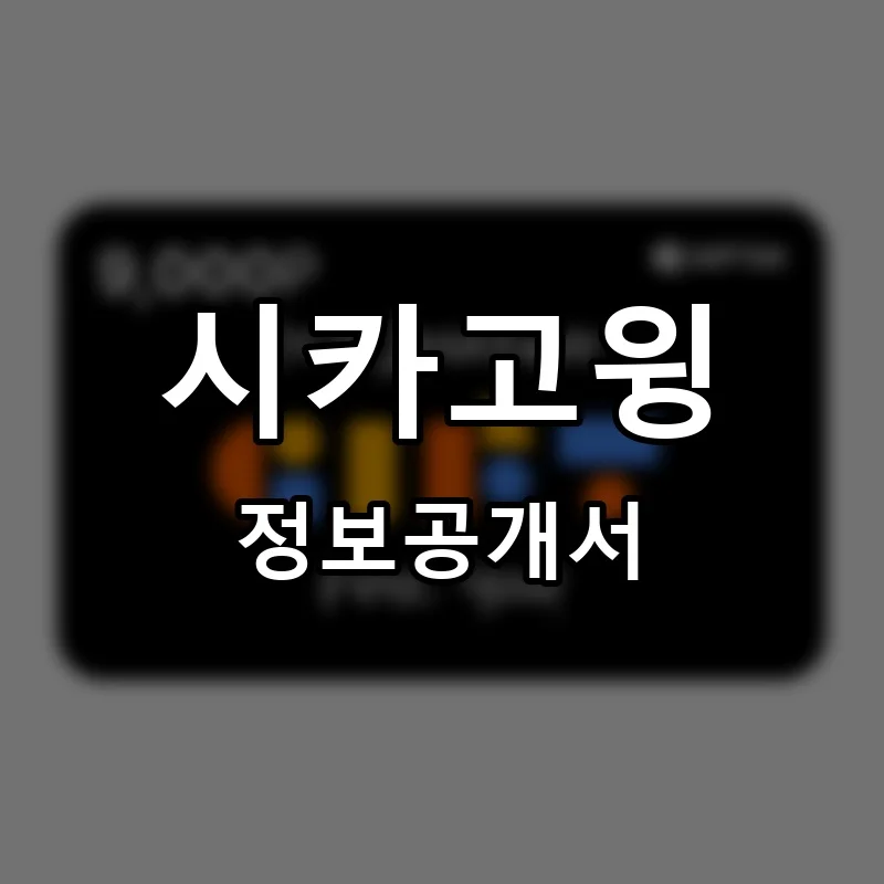 시카고윙 (CHICAGO WINGG) 프랜차이즈 창업 비용 정보공개서 요약