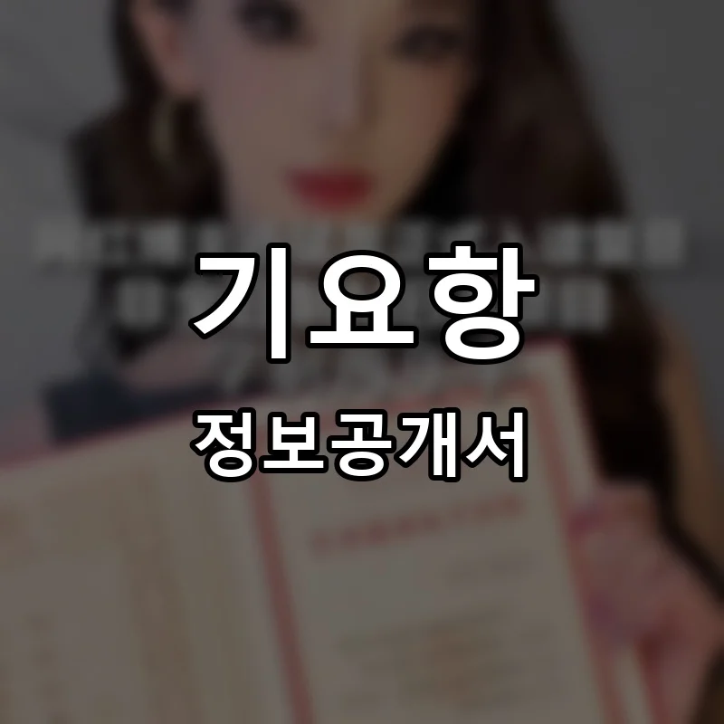 기요항(キヨ- 半) 프랜차이즈 창업 비용 정보공개서 요약