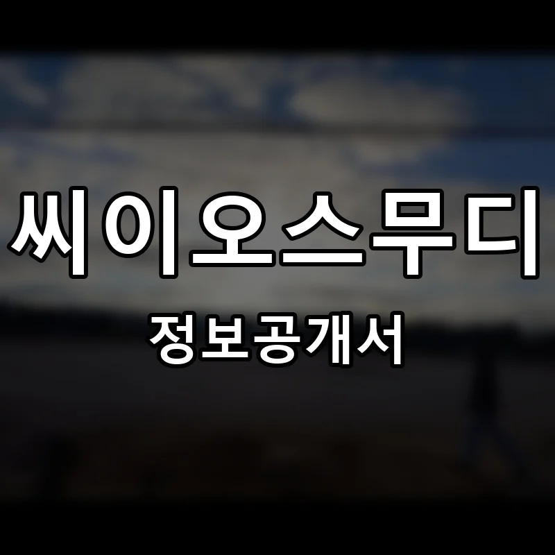 씨이오스무디 프랜차이즈 창업 비용 정보공개서 요약