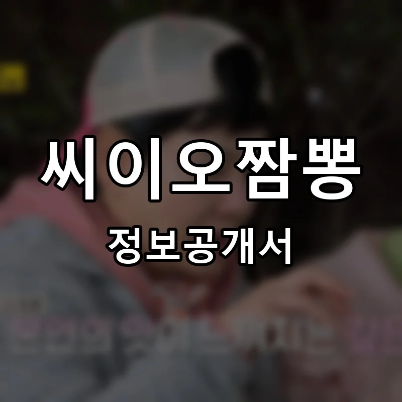 씨이오짬뽕 프랜차이즈 창업 비용 정보공개서 요약