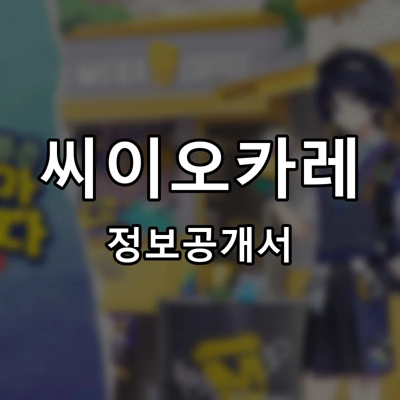 씨이오카레 프랜차이즈 창업 비용 정보공개서 요약