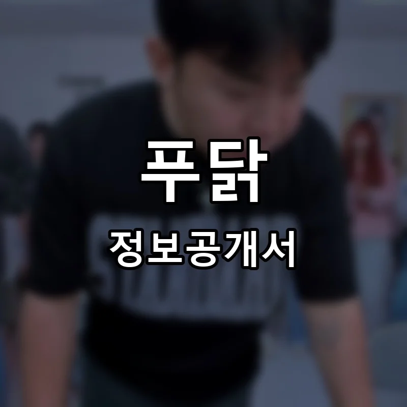 푸닭 프랜차이즈 정보공개서