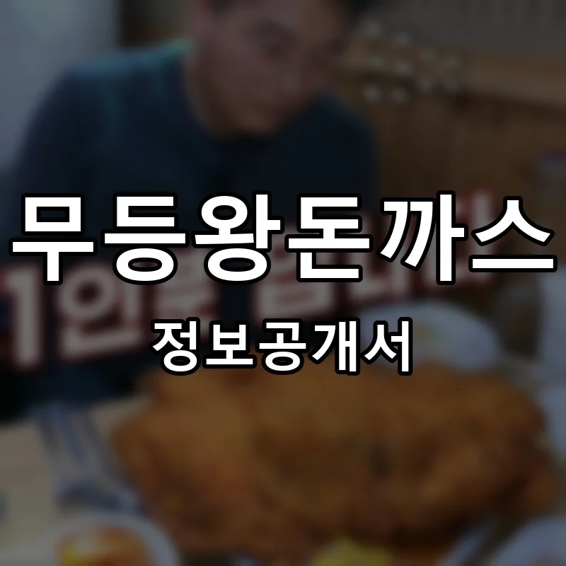 무등왕돈까스 프랜차이즈 정보공개서 요약 2025.05.19
