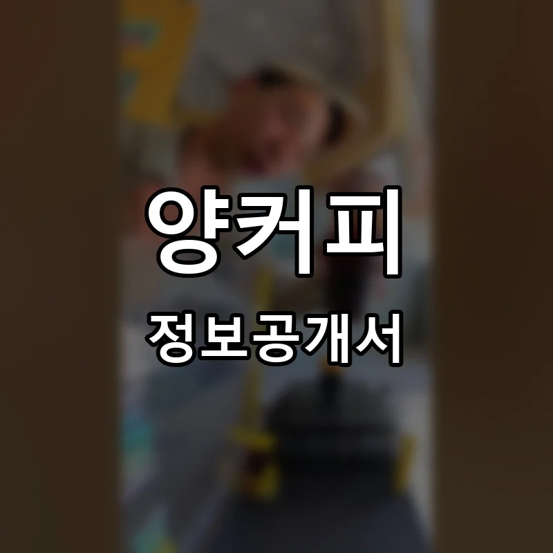 양커피 프랜차이즈 창업 비용 정보공개서 요약