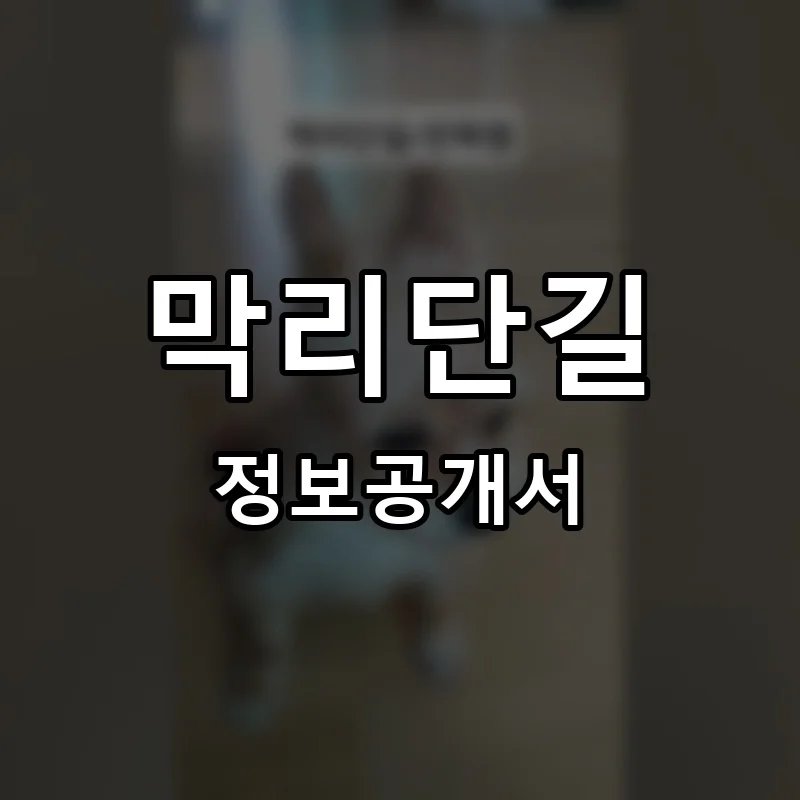 막리단길 프랜차이즈 정보공개서 요약 2025.05.22