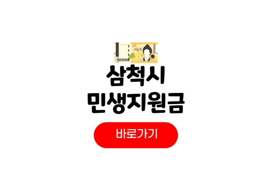 민생지원금 이슈 핵심 정리와 배경