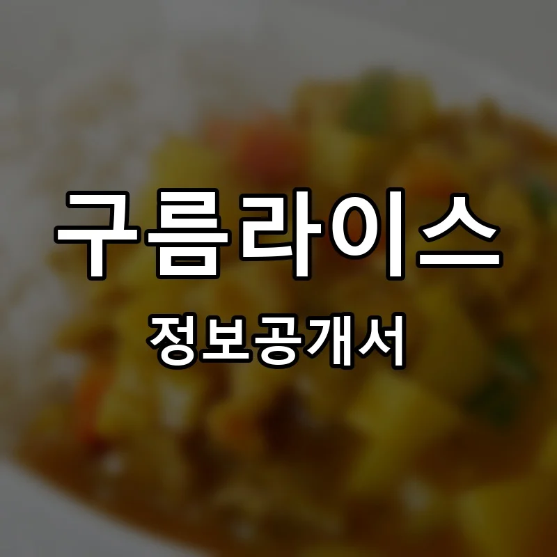 구름라이스 프랜차이즈 창업 비용 정보공개서 요약