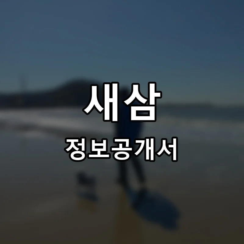 새삼 프랜차이즈 정보공개서
