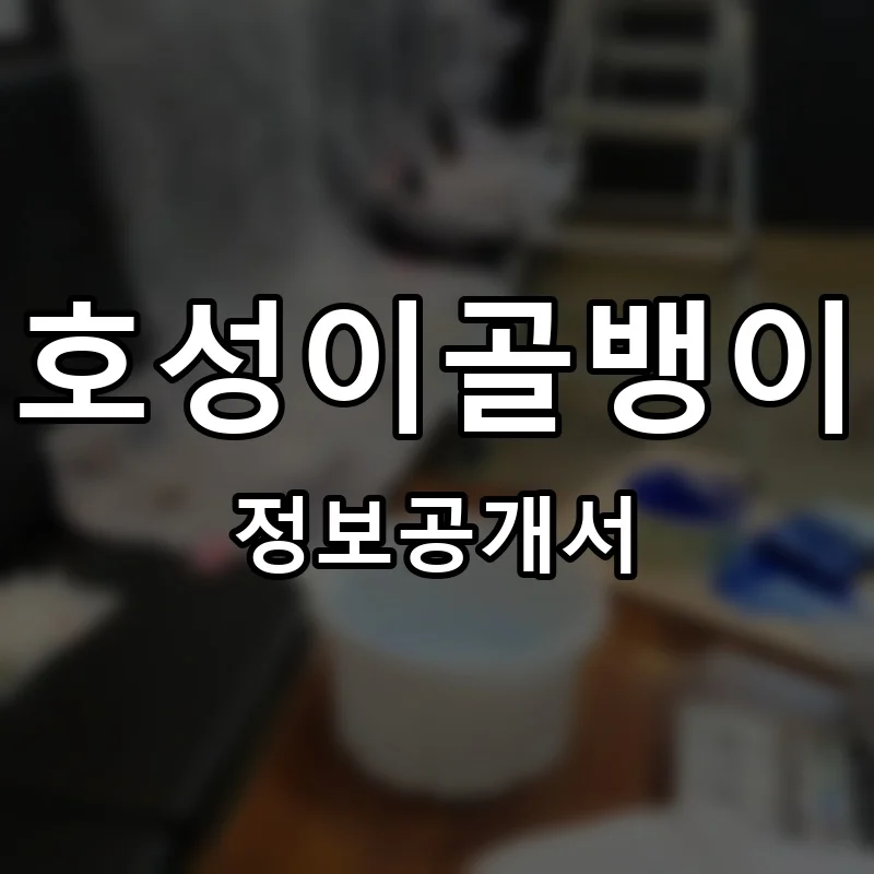호성이골뱅이 프랜차이즈 정보공개서