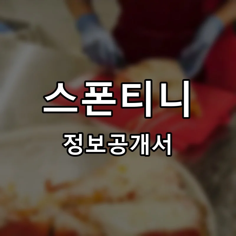 스폰티니 프랜차이즈 정보공개서