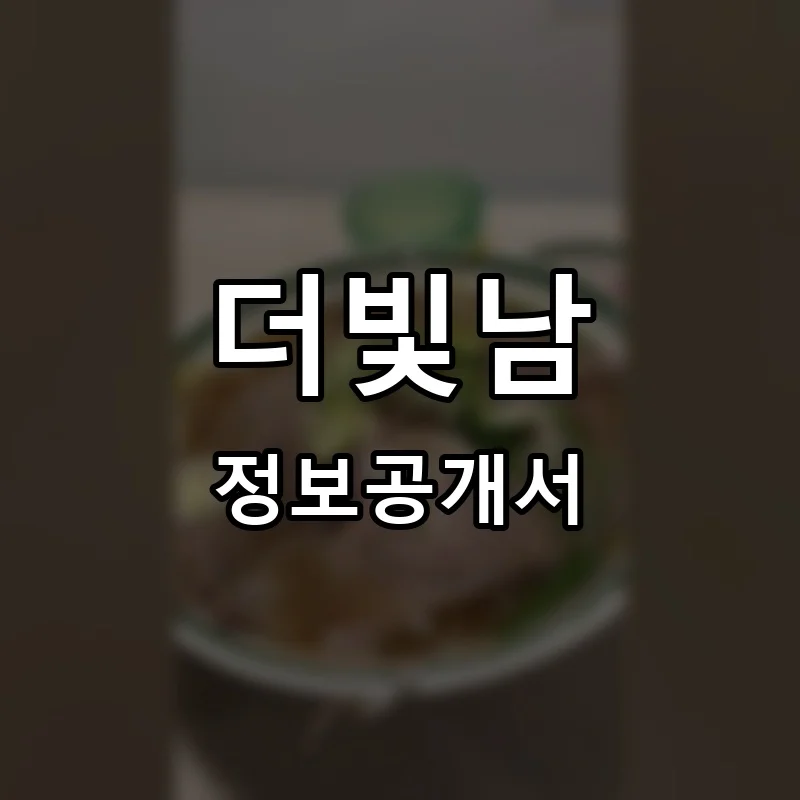 더빛남 프랜차이즈 창업 비용 정보공개서 요약