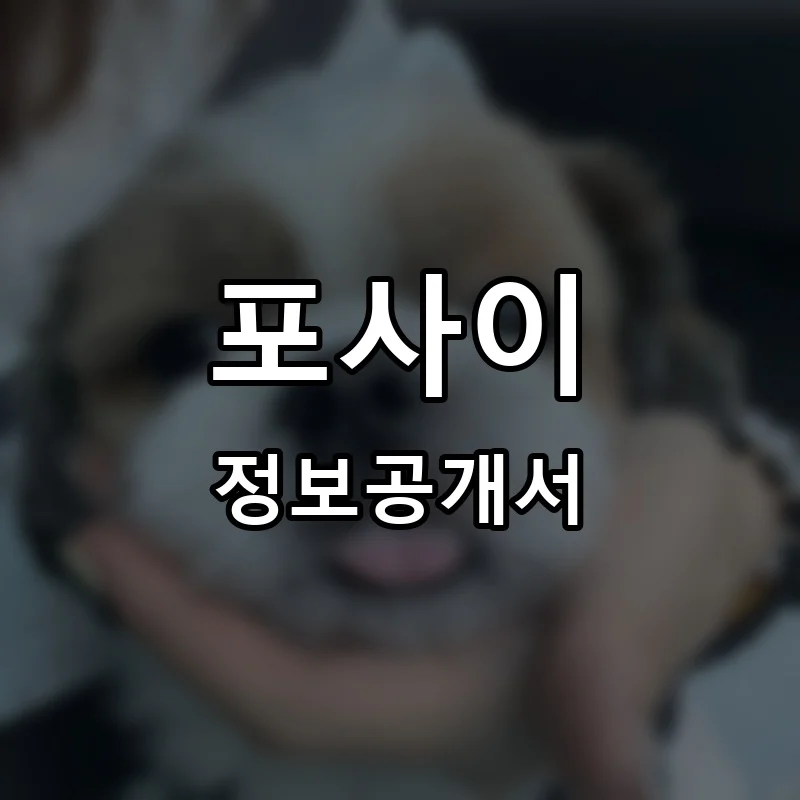 포사이 프랜차이즈 창업 비용 정보공개서 요약