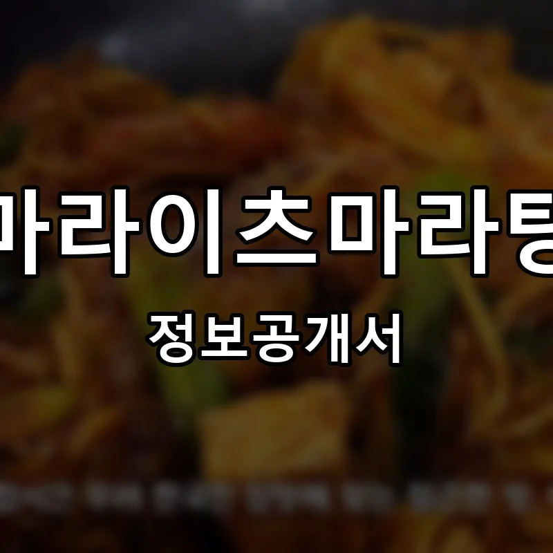 마라이츠마라탕 프랜차이즈 창업 비용 정보공개서 요약