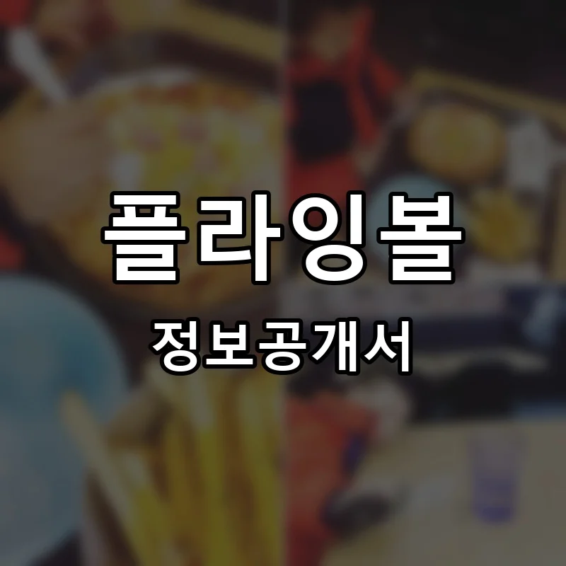 플라잉볼 프랜차이즈 정보공개서