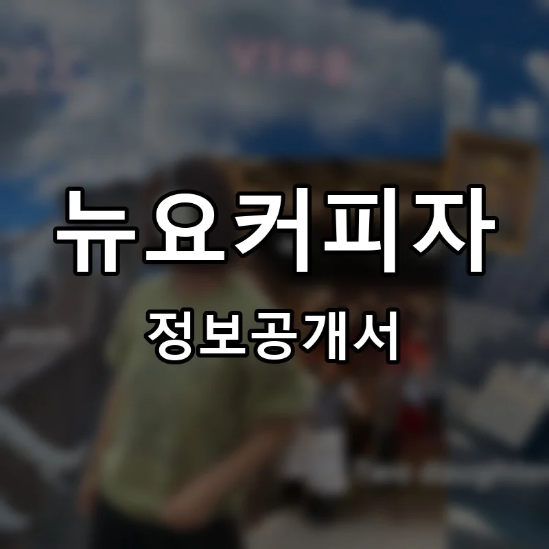 뉴요커피자 프랜차이즈 창업 비용 정보공개서 요약