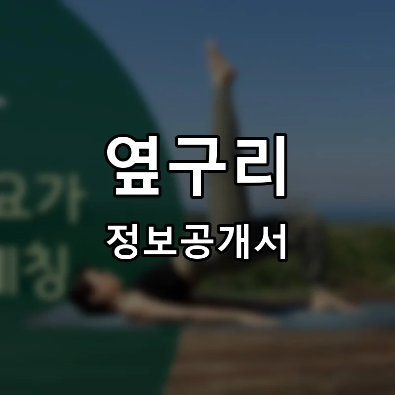 옆구리 프랜차이즈 창업 비용 정보공개서 요약