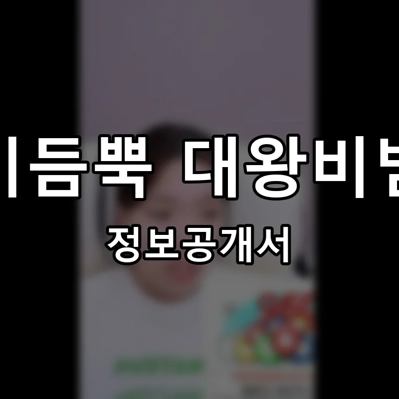 고기듬뿍 대왕비빔밥 프랜차이즈 창업 비용 정보공개서 요약