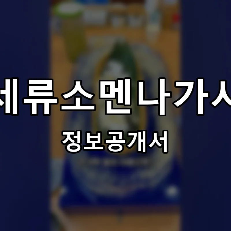 세류소멘나가시 프랜차이즈 창업 비용 정보공개서 요약